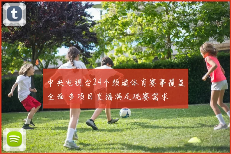 中央电视台24个频道体育赛事覆盖全面 多项目直播满足观赛需求