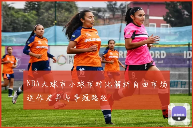 NBA大球市小球市对比解析自由市场运作差异与争冠路径