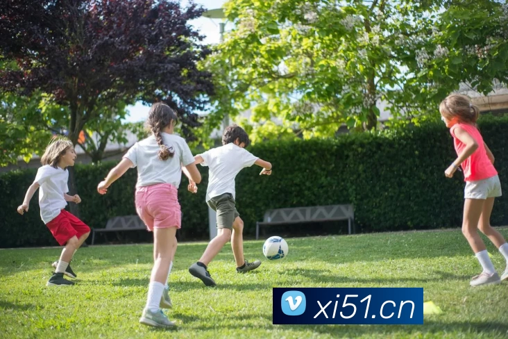 九游官网个人登录入口网页APP 封面图